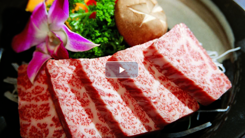 吃得营养-肉奶蛋加工与营养