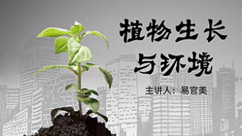 植物生长与环境