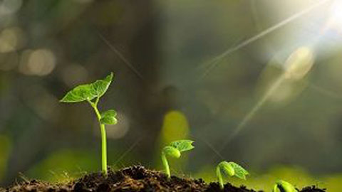 植物生物学