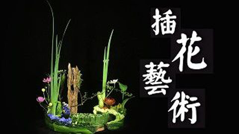 插花技术
